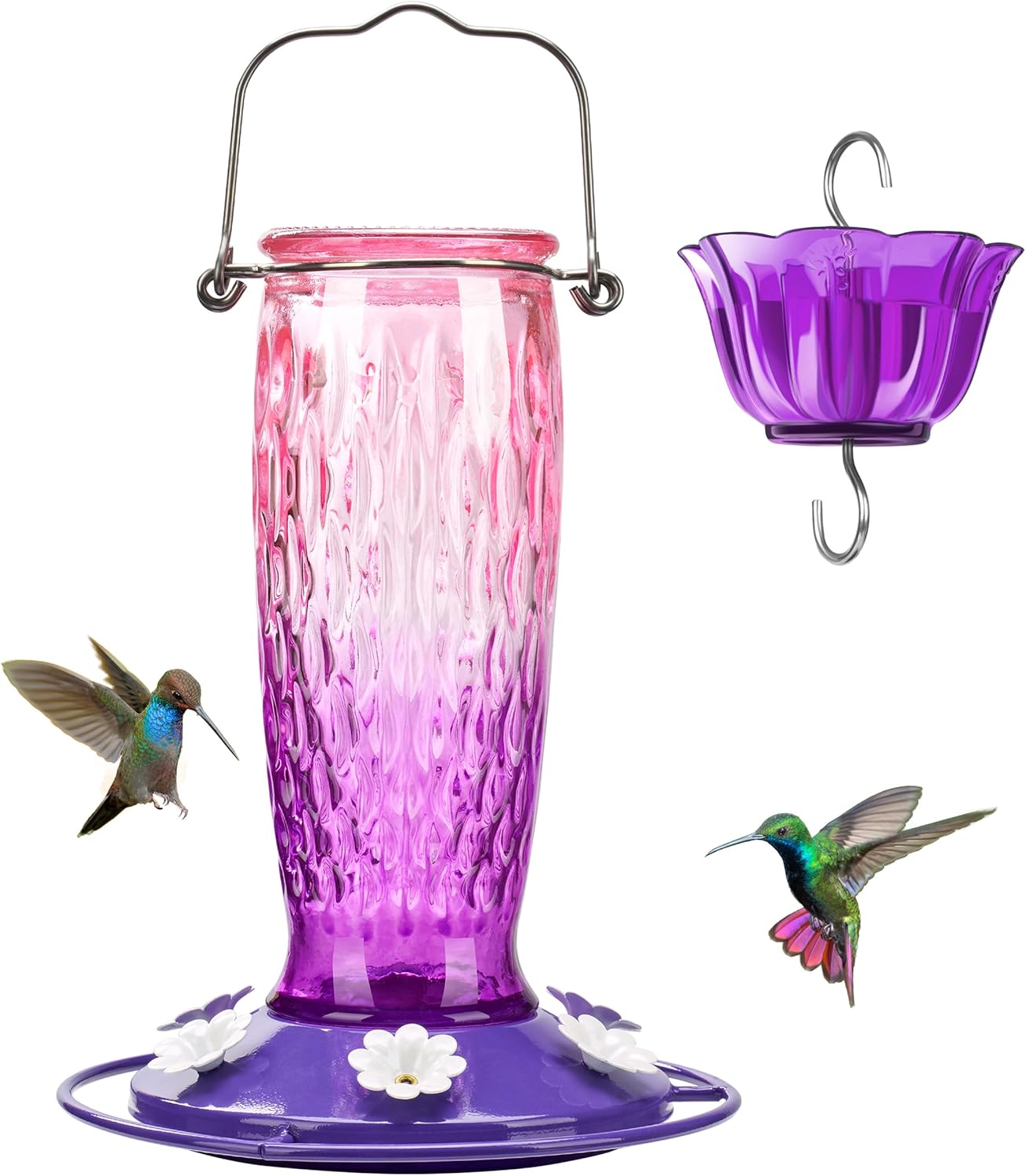 Backyard Birding & Wildlife - Kingsyard Glass Hummingbird Feeder for Outdoors 24 Oz, Hanging Wild Bird Feeder with 6 Feeding Ports, Leak-Proof, Easy to Refill & Clean, Pink & Purple (Ant Moat Included)