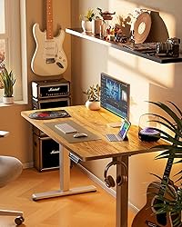 ErGear Height Adjustable Electric Standing Desk, 55