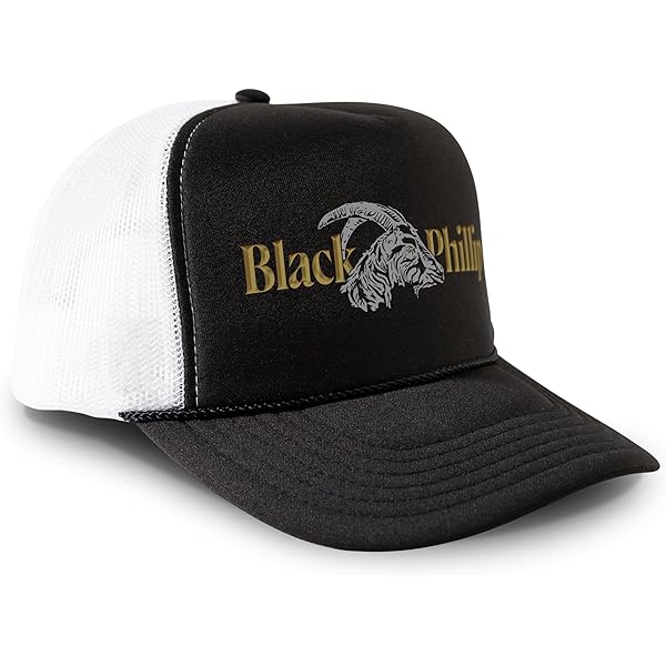 Fujiwara Tofu Shop Hat Retro 90s Manga Anime Snapback Cap