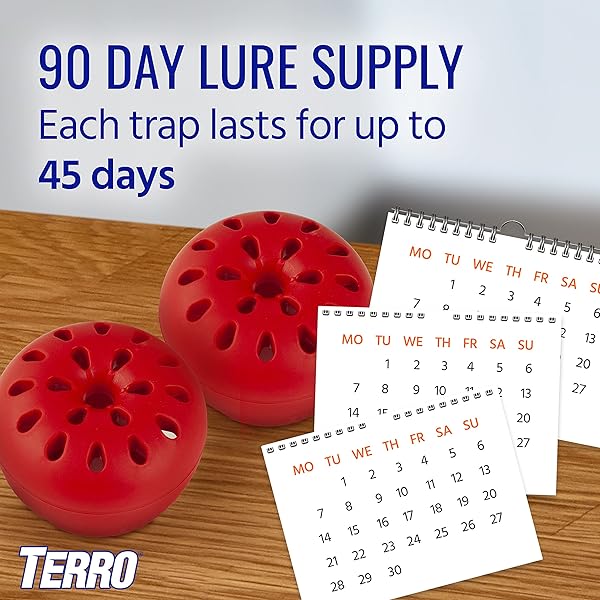TERRO T2502 READY-TO-USE INDOOR FRUIT FLY TRAP WITH BUILT IN WINDOW – 2 TRAPS + 90 DAY LURE SUPPLY