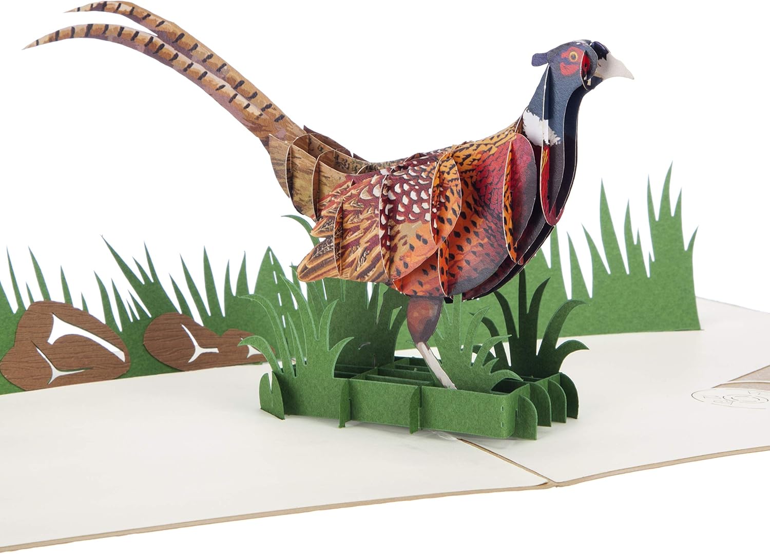 Cardology - Pheasant Shooting Pop Up Card, brown, 15cm x 20cm