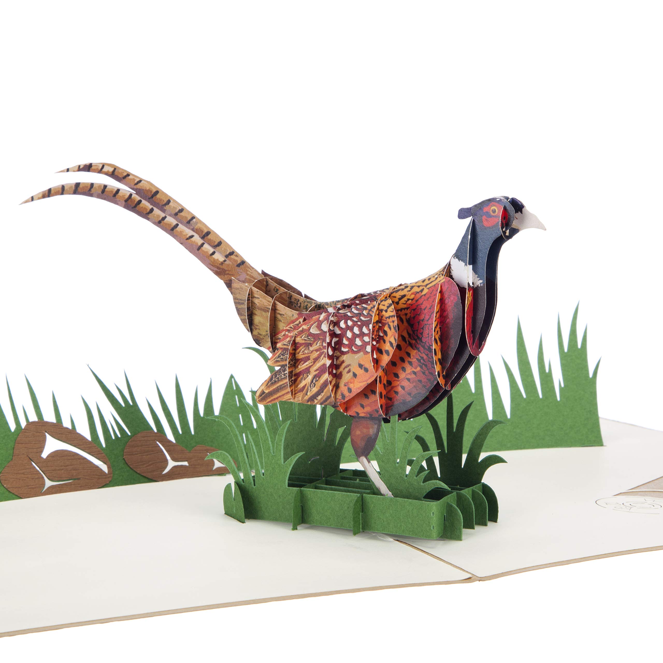Cardology - Pheasant Shooting Pop Up Card | Birthday Cards, Father's Day Cards, Mother's Day Cards, Shooting Gifts For Men | Handmade