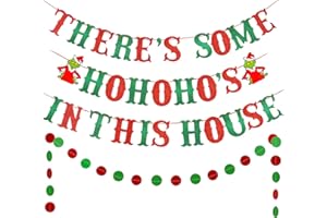TEEPOLLY Red Green Glitter There's Some Ho Ho Hos in This House Banner Funny Christmas Banner Decorations, Christmas Holiday Party Banner for Xmas Holiday Office Fireplace Mantle Home Decor