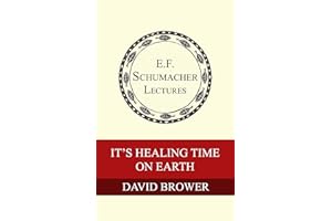 It's Healing Time on Earth (Annual E. F. Schumacher Lectures Book 12)