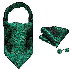 Ailisus Cravat Tie and Lapel Pin Set Mens Paisley