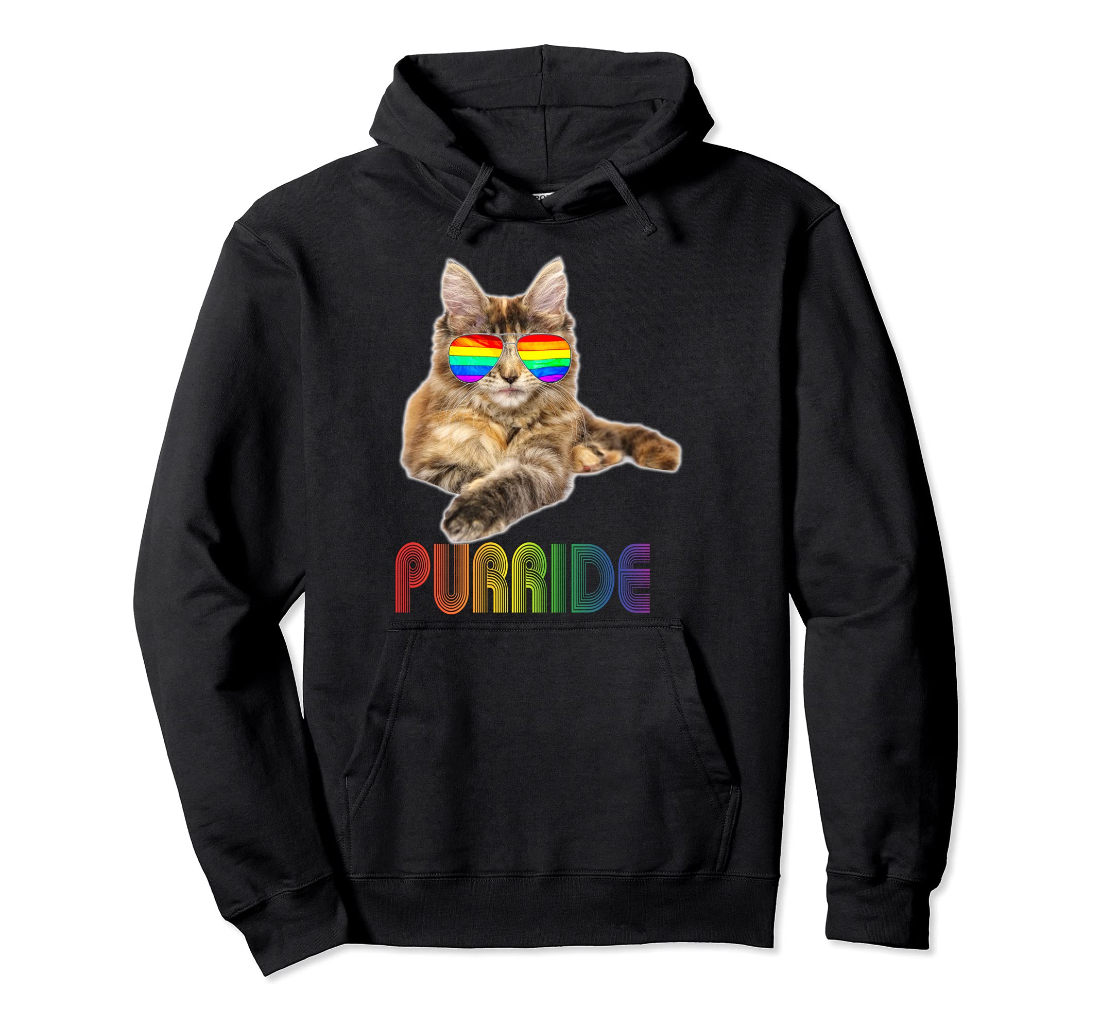 Purride Cat Gay Lesbian Pride Clothing LGBT Funny Pullover Hoodie