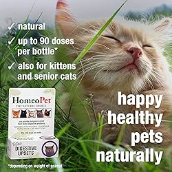 HomeoPet Feline Digestive Upsets, Natural Cat
