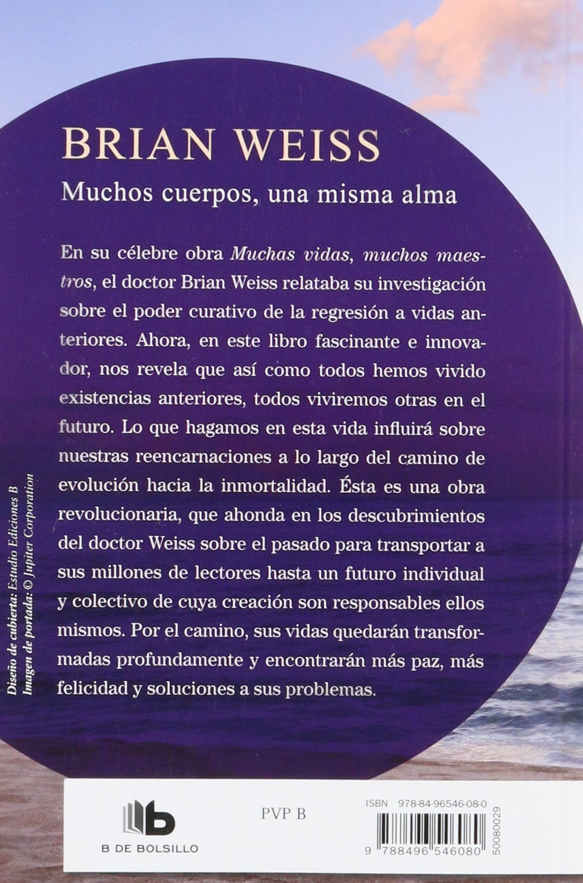 Muchos Cuerpos Una Misma Alma Same Soul Many Bodies Weiss Brian Amazon Com Mx Libros