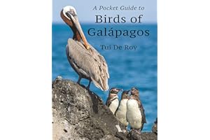 A Pocket Guide to Birds of Galápagos