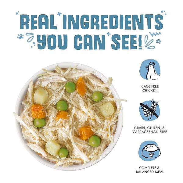 WERUVA CLASSIC DOG FOOD, GRANDMA’S CHICKEN SOUP WITH CHICKEN BREAST & VEGGIES, 14OZ CAN (PACK OF 12), TEAL (878408004568)