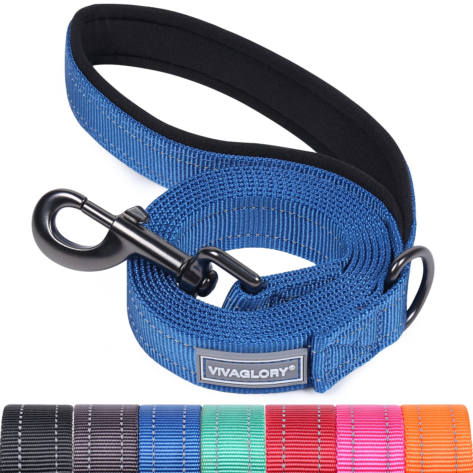 VIVAGLORY Dog Lead Dailyx Dog Leash, Lead with Soft Padded Handle for Training & Walking, Heavy Duty & Double Layer Nylon for Pet Puppy, 180 x 2.5cm, Blue