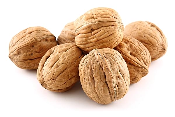 ANNA AND SARAH WALNUTS IN SHELL, JUMBO, FRESH, BUTTERY TASTE, EASY TO CRACK, CALIFORNIA CHANDLER, NATURAL SHELLS, NOT BLEACHED 5.5 LBS