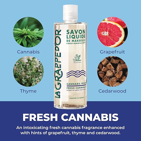 LA GRAPPE D’OR FRESH CANNABIS SCENT MARSEILLE SOAP BODY WASH ENRICHED WITH MOISTURIZING SHEA & ESSENTIAL OILS | MADE IN FRANCE FROM ORGANIC OLIVE & COCONUT OIL | NATURAL & VEGAN, 13.5 OZ LIQUID