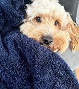 Pet Wiz Soft Fluffy Fleece Blanket Grey 80 x 100cm Medium view 6
