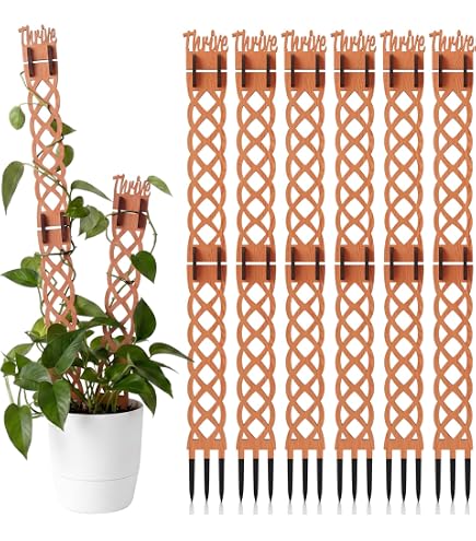 Amazon.com : Treleaf Zella Grande Starter Kit – Wooden Extendable