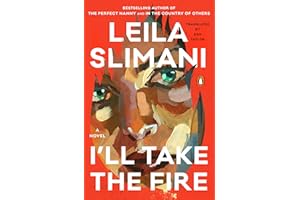 I'll Take the Fire: A Novel