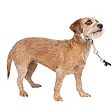 PetSafe Gentle Leader Headcollar No-Pull Dog Collar