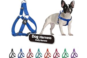 KRUZ PET Kruz No Pull Dog Harness (Chest 21”-30”, Weight 22-53 lbs) Heavy-Duty Pet Harness for Medium Breeds, Ultra-Comfort Fit, Lifetime Durability, Adjustable Dog Harness No Pull Design (Blue, Medium)