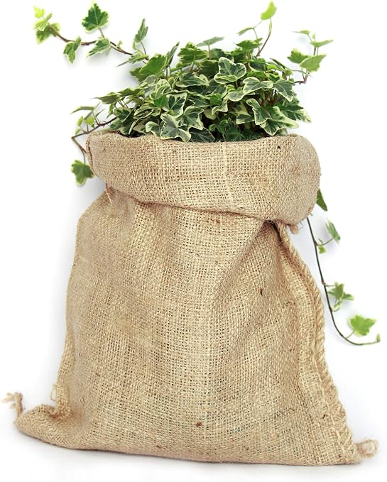 TBG Pack 5 Sacos de Yute 100% Natural. Bolsas Ecológicas Ideales ...