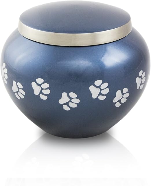 dog urns for ashes amazon