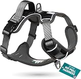 Embark Pets Urban Dog Harness No-Pull Front Back Clips Adjustable