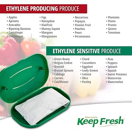 Produce Saver y Kit de Conservador para Frigorífico - Amortiguador ...