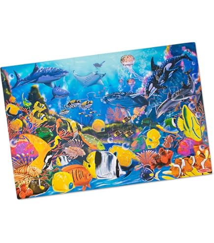 Amazon.com: Lights Camera Interaction 24-Piece Deluxe Alphabet