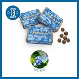 Seedball Forget-Me-Not Wildflower Seeds 3x Seed Boxes Bee Friendly view 2