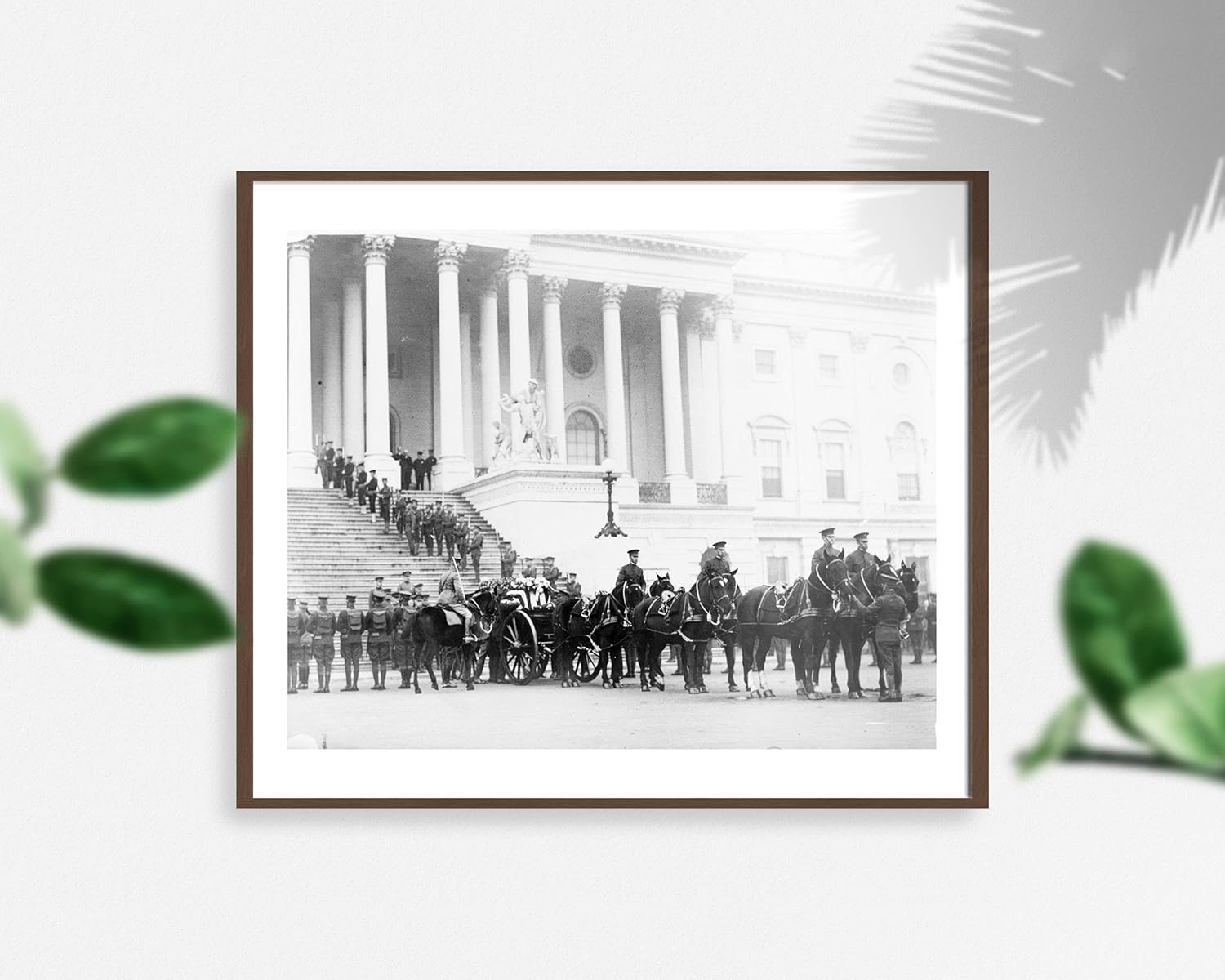 Photographs - 1921 photo Flag-draped casket of the unknown soldier on horsedrawn caisson in g8