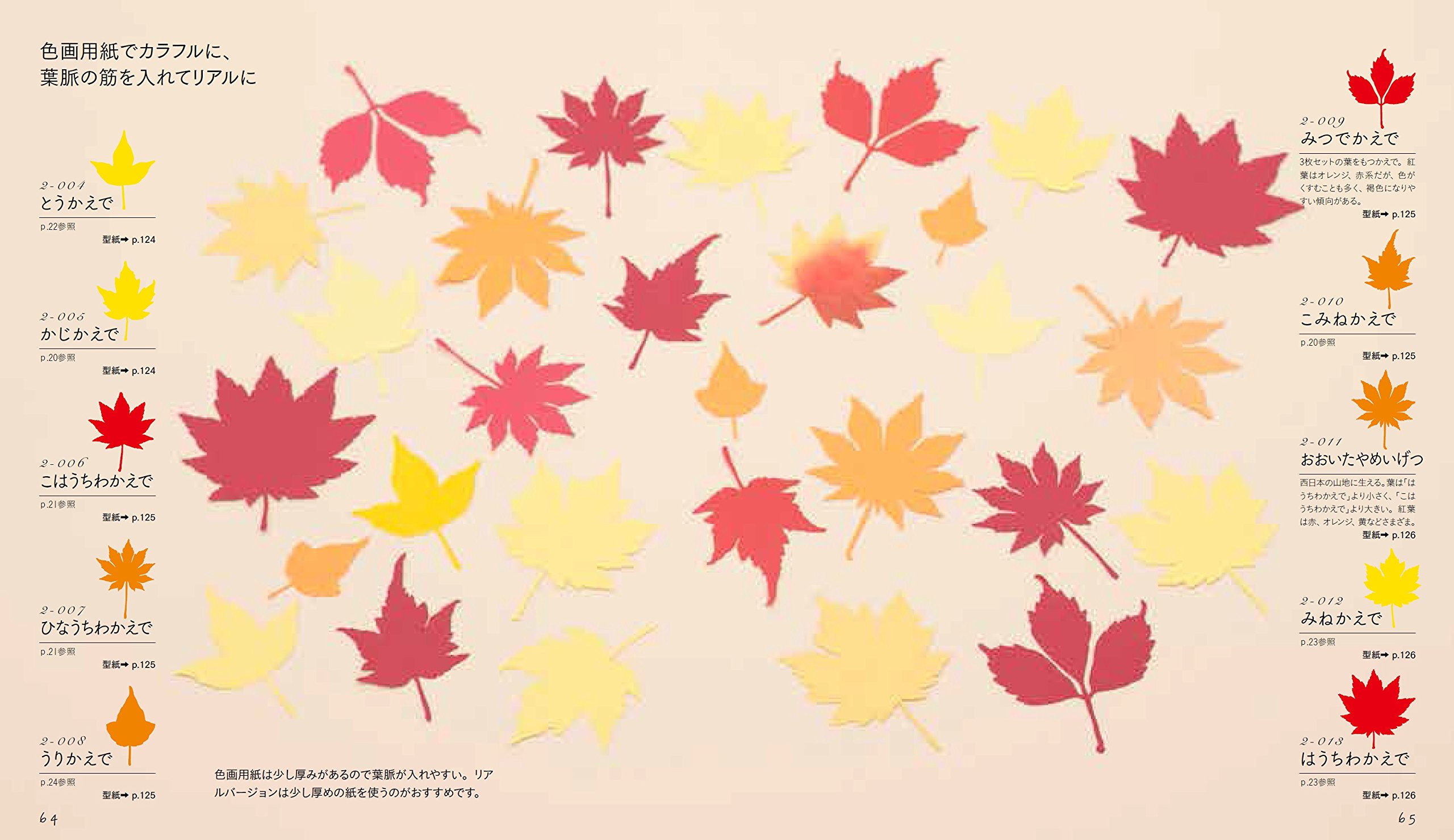 落ち葉切り紙 美しい葉っぱモチーフ160作品と飾って楽しむアイデア Killigraph 本 通販 Amazon