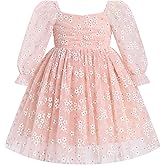 IBTOM CASTLE Infant Girls First Birthday Dress Flower Girl Dress Cake Smash Floral Embroidery Princess Dress