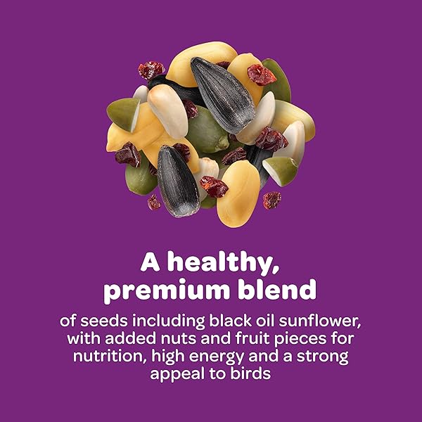 KAYTEE NUT & FRUIT WILD BIRD SEED, 5 LB