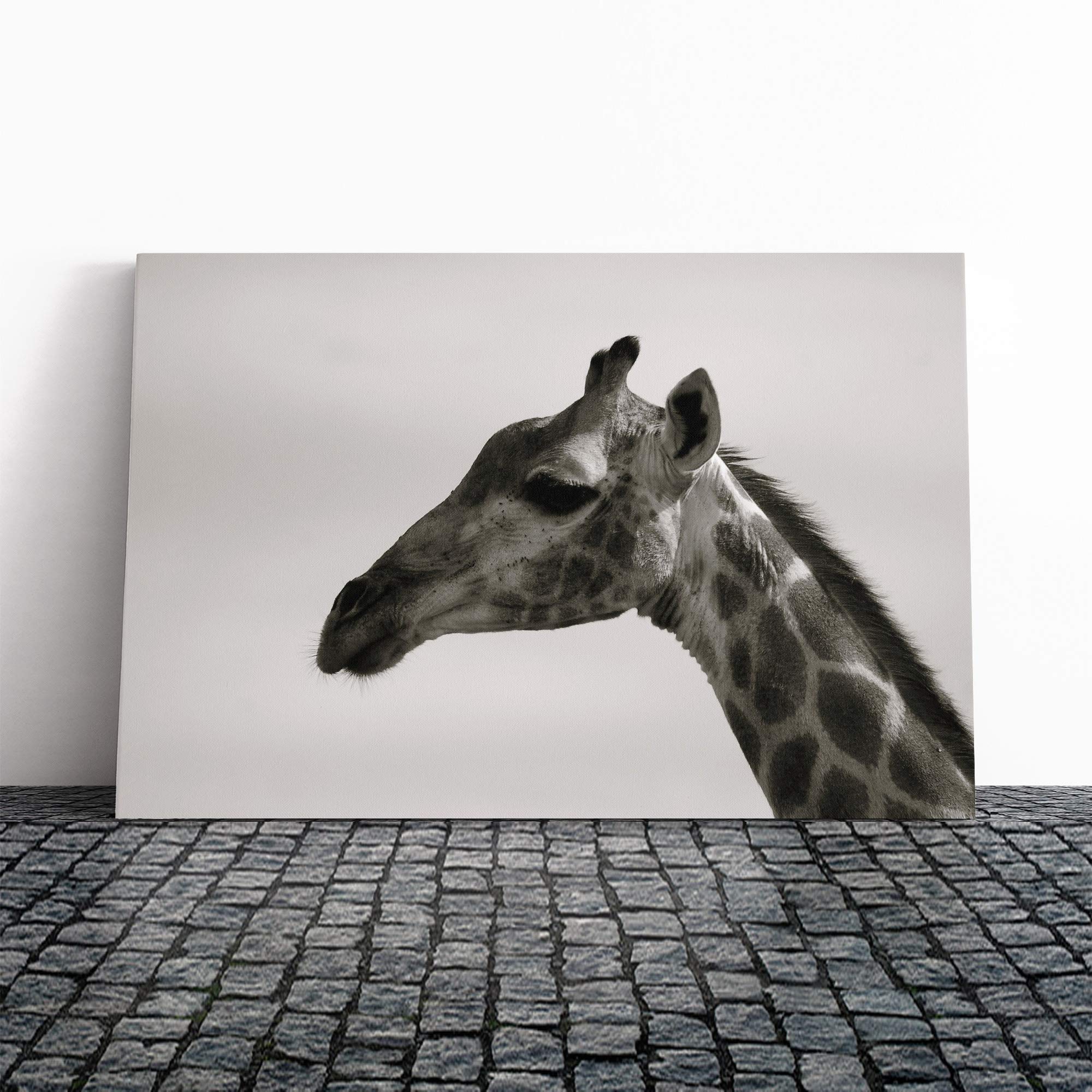 Big Box Art Canvas Print Wall Art Giraffe 5 | Mounted and Stretched Box Frame Picture | Home Decor for Kitchen, Living, Dining Room, Bedroom, Hallway, Multi-Colour, 20x14 Inch
