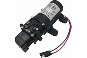 DELAVAN Diaphragm Pump, Polypropylene, Santoprene(R), 12VDC, 1.0 GPM