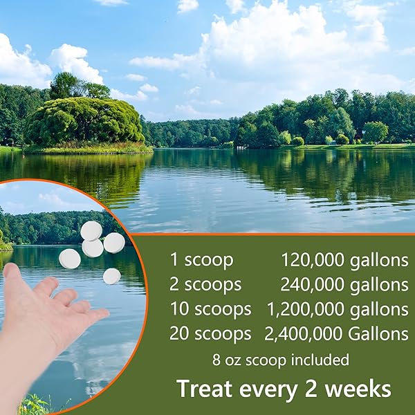MUCK REDUCER NATURAL POND SLUDGE REMOVER 10 LB (20 SCOOPS) POND TABLETS TREATS 2.5 ACRES MUCK REMOVAL FOR PONDS & LAKES, WATER GARDEN,FOUNTAIN AWAY ODOR CONTROL,SAFE FOR FISH,AQUATIC LIFE,WILDLIFE,PET