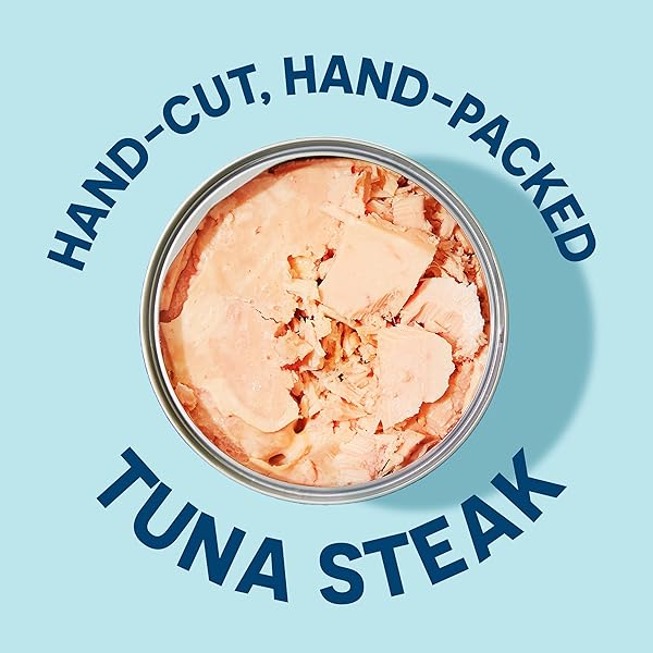 WILD PLANET ALBACORE WILD TUNA, NO SALT ADDED, CANNED TUNA, POLE & LINE CAUGHT, 5 OZ, PACK OF 4, PACKAGING MAY VARY