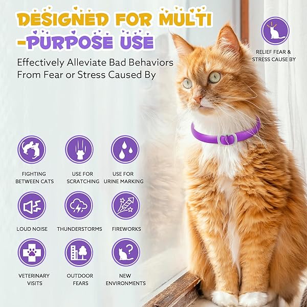 OIMMAL 4 PACK CALMING COLLAR FOR CATS, ADJUSTABLE CAT CALMING COLLAR, CAT PHEROMONE COLLAR FOR CATS AND KITTEN, RELIEVE REDUCE ANXIETY STRESS, CAT ANXIETY RELIEF CALM RELAXING COLLARS