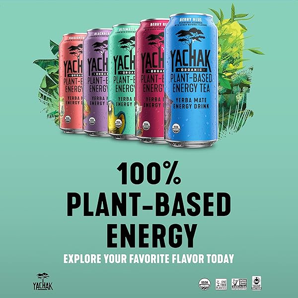YACHAK YERBA MATE DRINK, PASSIONFRUIT, 16 FL OZ (PACK OF 12)