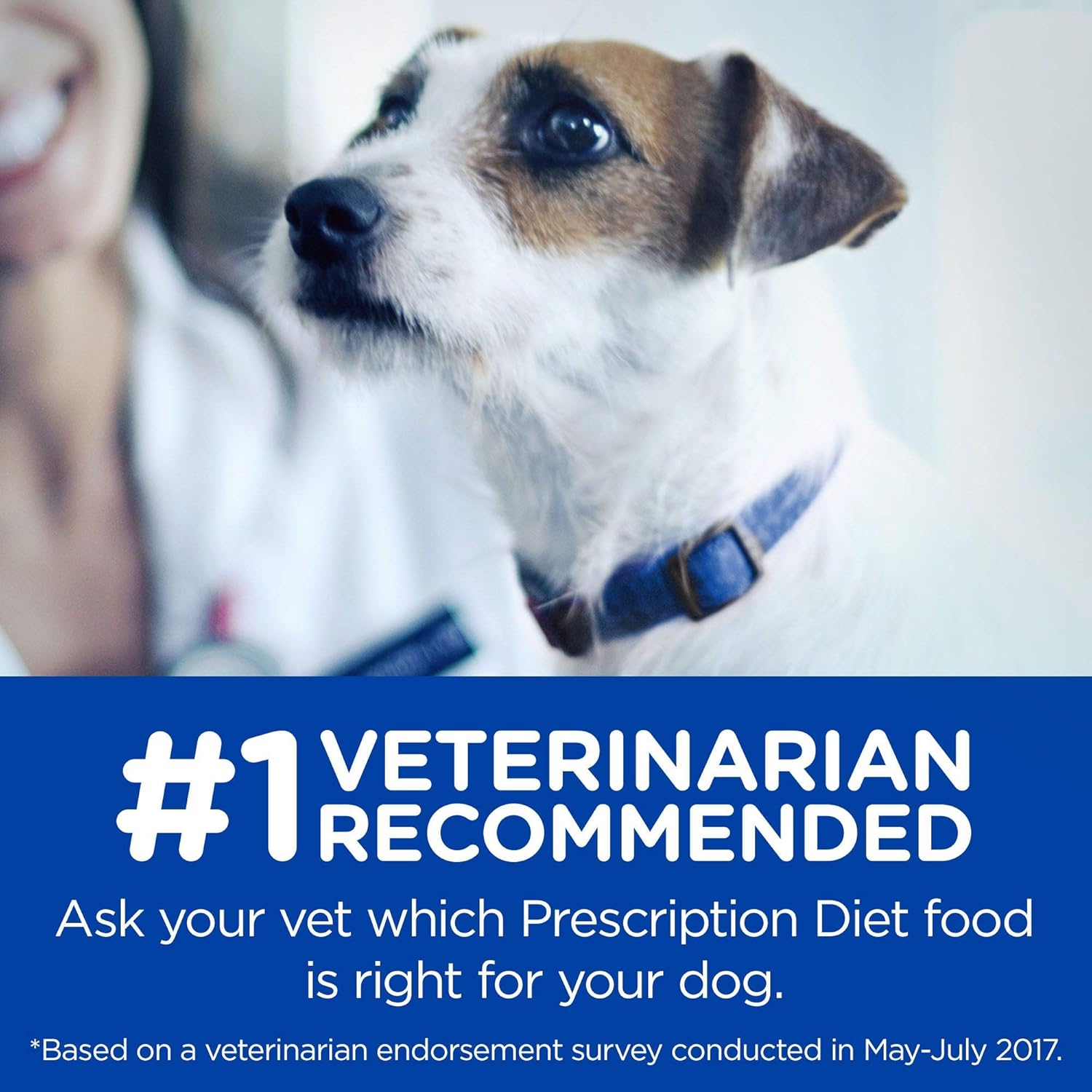 hill's prescription diet jd