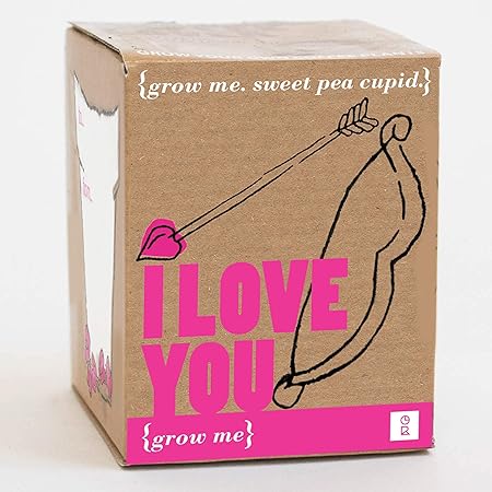 Mags Coffret Cadeau Saint Valentin Grow Me I Love You Graines De Pois Doux Cupidon A Faire Pousser Soi Meme Amazon Fr Jardin