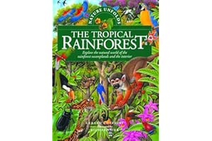 Nature Unfolds The Tropical Rainforest