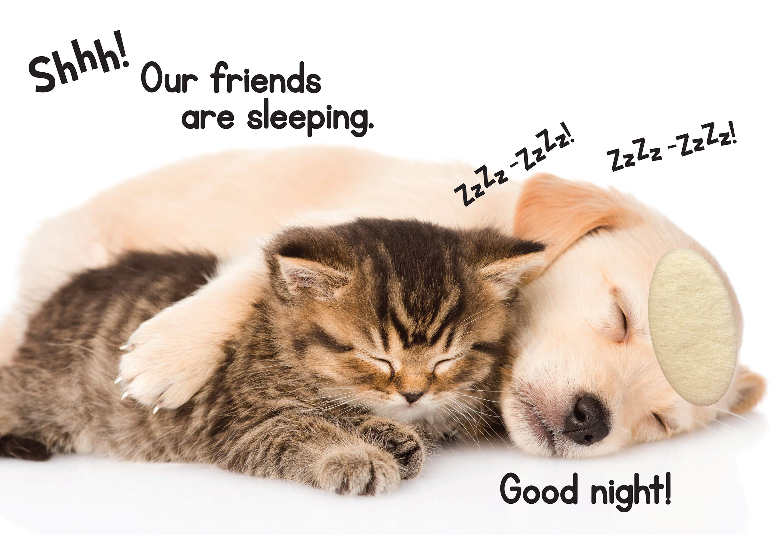 Puppies & Kitties - Touch and Feel Board Book - Sensory Board Book Puppies & Kitties - Touch and Feel Board Book - Sensory Board Book Board book