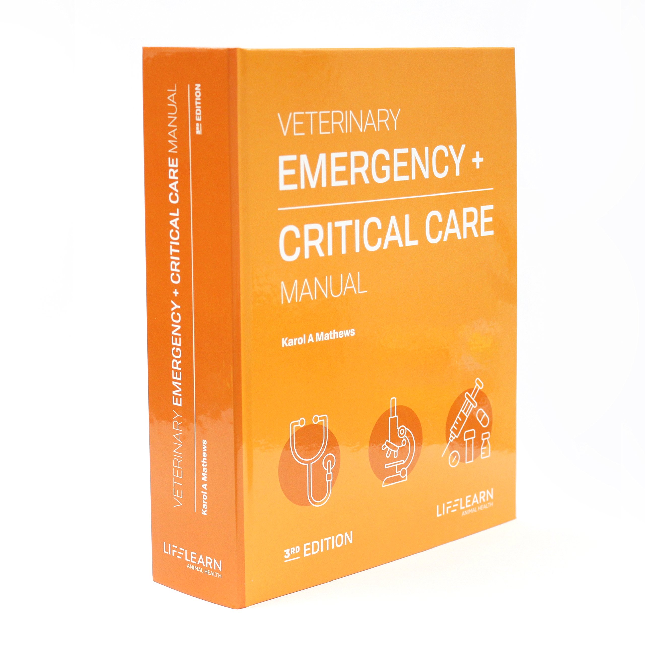 kong dogs need to play