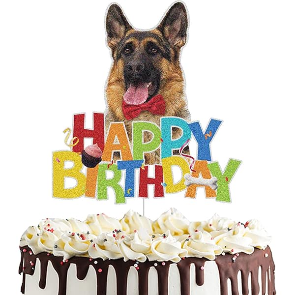 CHAT - Happy Birthday, Dennis! | Page 3 | Timebomb 2000