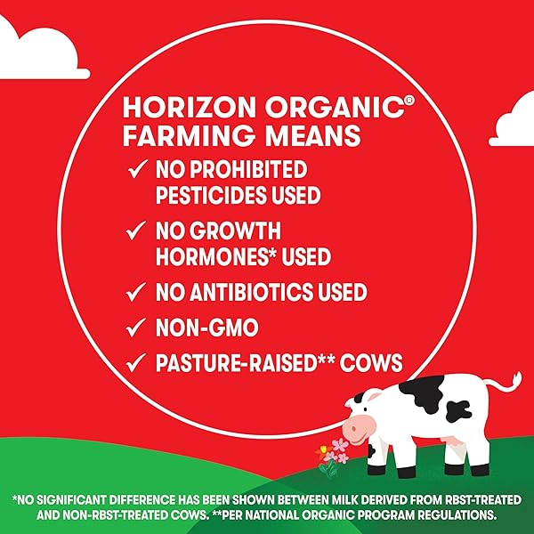 HORIZON ORGANIC SHELF STABLE 1% LOWFAT CHOCOLATE MILK BOXES, 8 FL OZ, 18 COUNT – 8G PROTEIN PER SERVING, USDA ORGANIC UHT FROM PASTURE-RAISED COWS, READY TO DRINK FOR LUNCHBOX, TRAVEL, OR ON-THE-GO, NO REFRIGERATION NEEDED