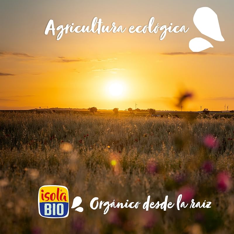 - Pacote de 15 cremes biológicos de coco e caril de 200 ml – alternativa vegetal para cozinhar, sem lactose, sem glúten, 100% biológico, ideal para molhos, arroz e receitas vegan – 200 ml