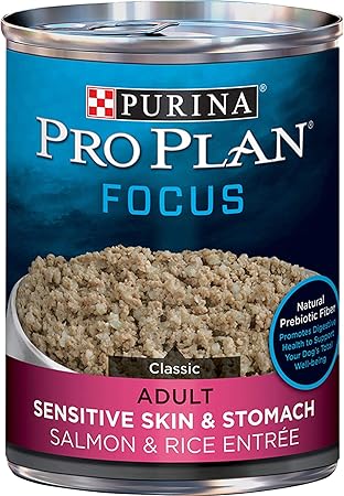 best canned dog food for upset stomach