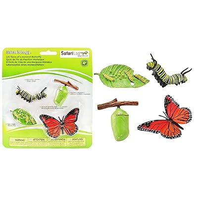 Buy Safari Ltd Life Cycle Of A Monarch Butterfly Online In Maldives B004jdj9ss