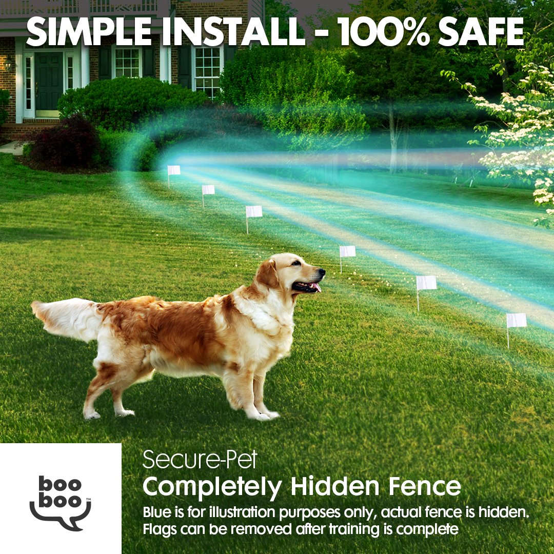 Reviews Sit BooBoo Electric Dog Fence and Pet Containment System In
