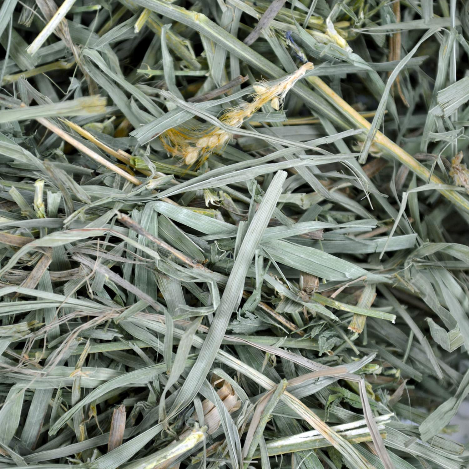 Oxbow Animal Health Meadow Hay - All Natural Hay for Rabbits, Guinea Pigs, Chinchillas, Hamsters & Gerbils - 15 oz.: Pet Supplies